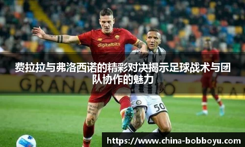 BOB博鱼体育平台