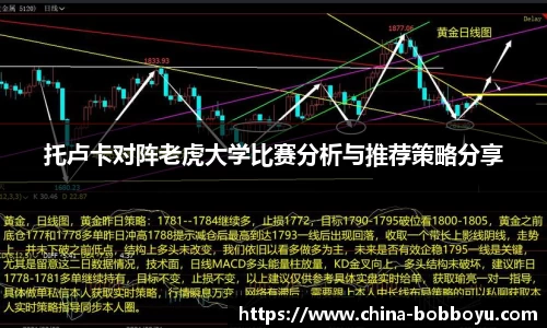 BOB博鱼体育平台